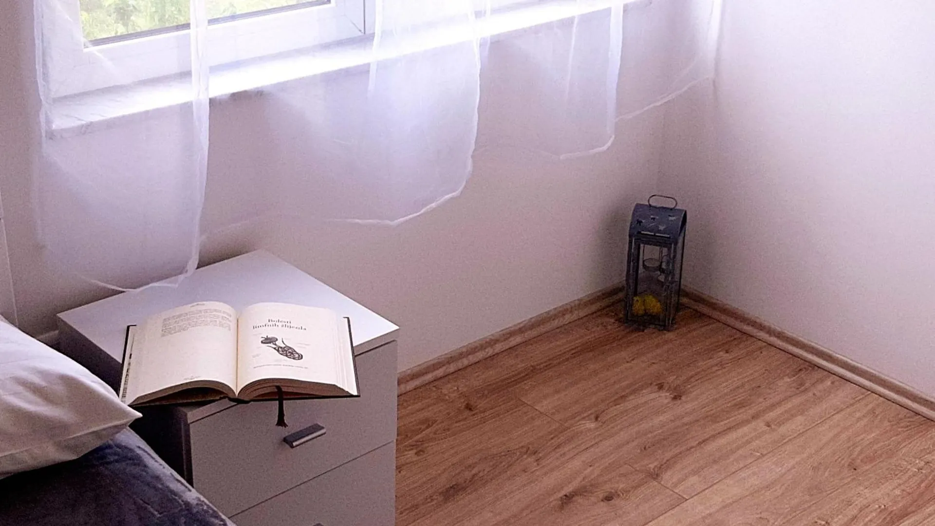 Wohnung Marica Mit Balkon Und Herrlichem Meerblick Supetarska Draga 0*,
